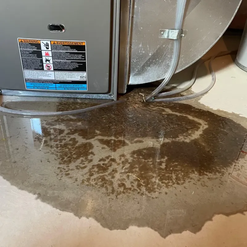 Appliance Leak Cleanup in Washington County, CO