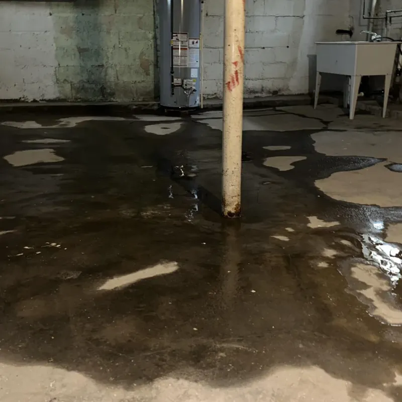 Emergency Water Extraction And Removal in Washington County, CO
